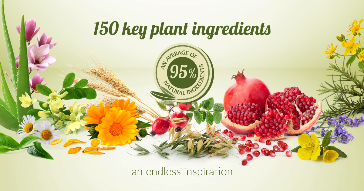 key-ingredients.jpg